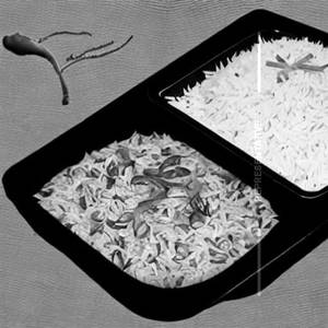 Vegetable Rice
