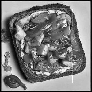 Veg Spheshmi Toast