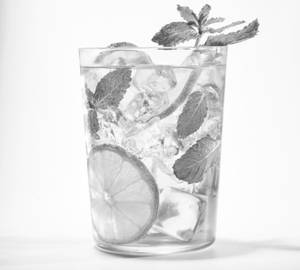 Lemon Mint Mojito