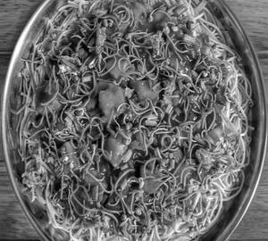 Chicken Tripple Schezwan Noodles ( Haya )