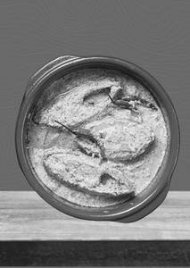 Ilish Bhapa