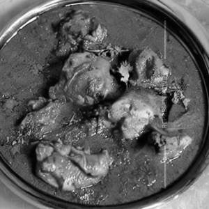 Chicken Dahiwala 