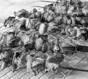 Chicken Kebab