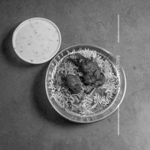 Chicken Matka Biryani