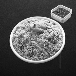 Chicken Corner Special Rice