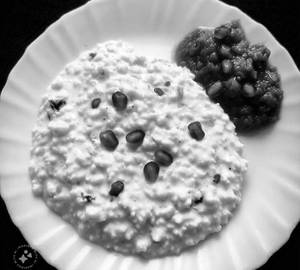 Curd rice