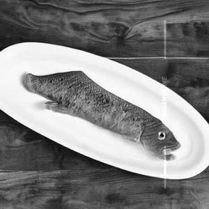 Apollo fish