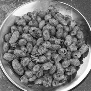 Handi Macroni