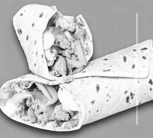 Cheese chicken wrap