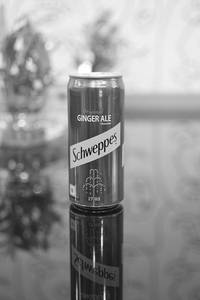 Ginger Ale [300 ml]