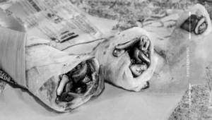 Mushroom Frankie Roll