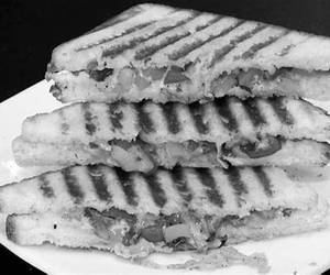 Cheese Chatni Grill Sandwich