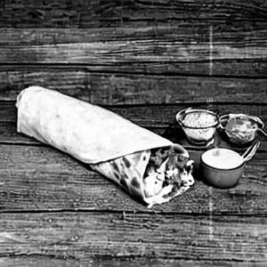 Chicken mayonnaise frankie