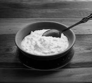 Plain Dahi