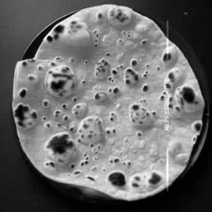Chapati
