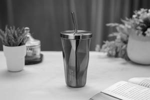Travel Mug SS- 500ml