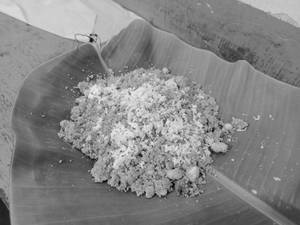 Arici puttu