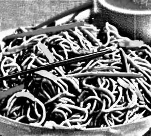 Hong Kong Noodles Chicken