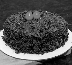 Chocolate Excess Premium Cake