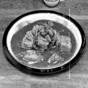 Oyster Fish 