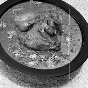 Chicken lajawab