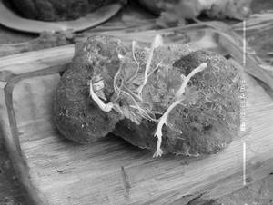 Beef Cutlet Bread