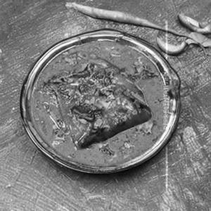 Tangy Mustard Bhetki Fish     