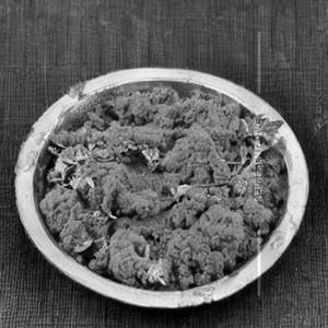 Kaju Masala