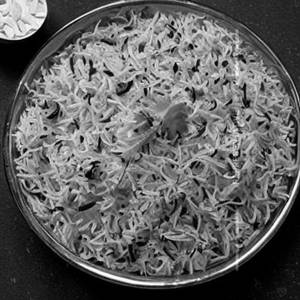 Jeera Rice
