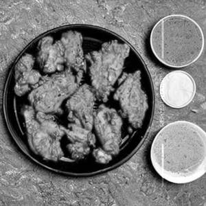 Chicken Fry