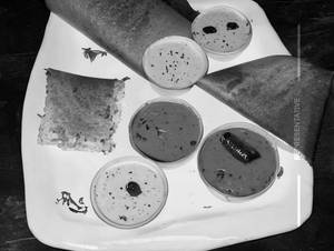 Paneer Dosa