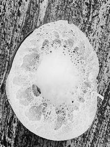 Appam