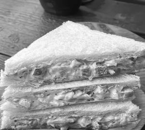 Plain Veg Sandwich