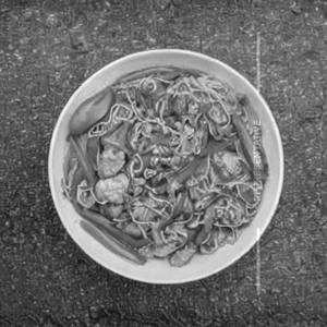 Noodles Chicken Chilli Garlic