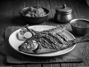 Pomfret Tawa Fry