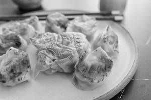 Chicken pan fried wanton