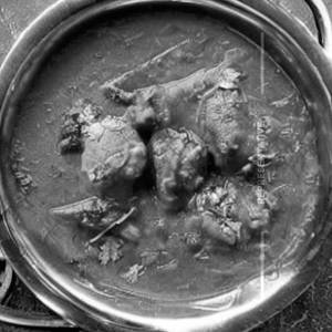 Chicken Saagwala