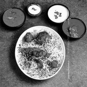 Kabeela Murg Biryani