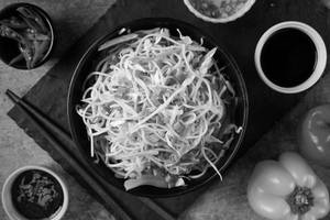 Veg Classic Hakka Noodles