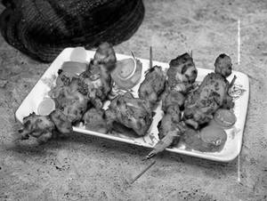 Chicken Tandoori Dry