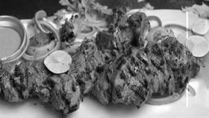Kaali Mirch Chicken Tikka