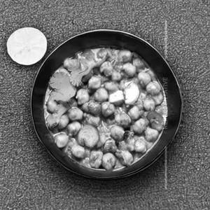Paneer Chana