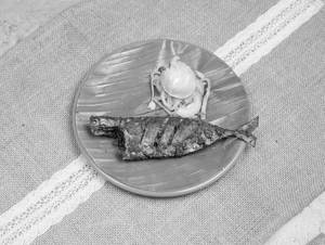 Fish Fry