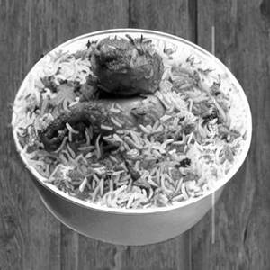Andhara Chicken Rost Biryani