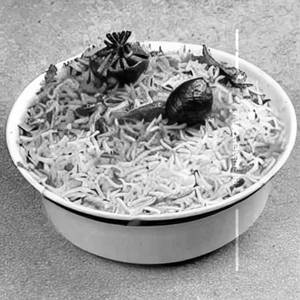 Veg Bombay Biryani