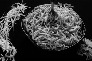 Veg Hakka Noddles