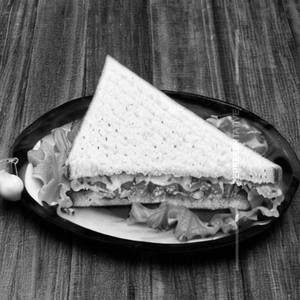 Vegetable Cheese Sandwich