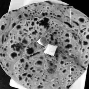 Paratha