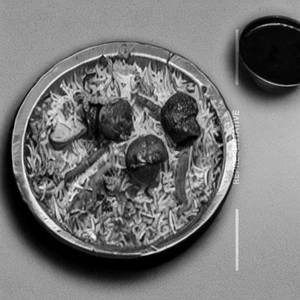 Mushroom Tikka Biryani
