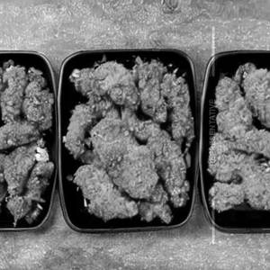 Crispy Chicken 
